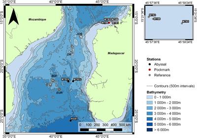 Deep-Sea Nematodes of the Mozambique Channel: Evidence of Random Community Assembly Dynamics in Seep Sediments